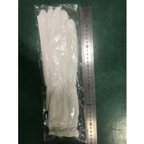 포토 갤러리